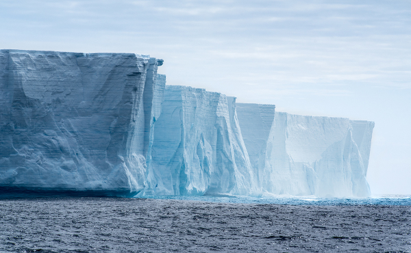 Antarktika'da Güneş Işığının Ulaşmadığı Bölgede Yeni Canlılar Keşfedildi