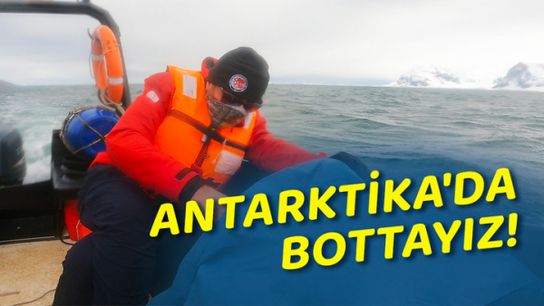 Antarktika&#039;da Deniz Tabanını Araştırıyoruz!