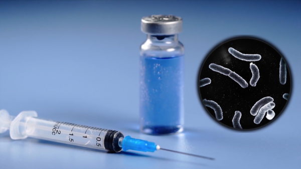 Aşı Nasıl Bağışıklık Oluşturur?