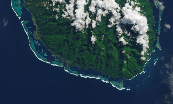 Tahiti’nin Dev Mercan Resifleri ve Dalgaları