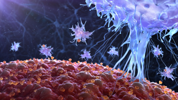 Vücuttaki Hücrelerin Savaşı: Otoimmün Hastalıklar