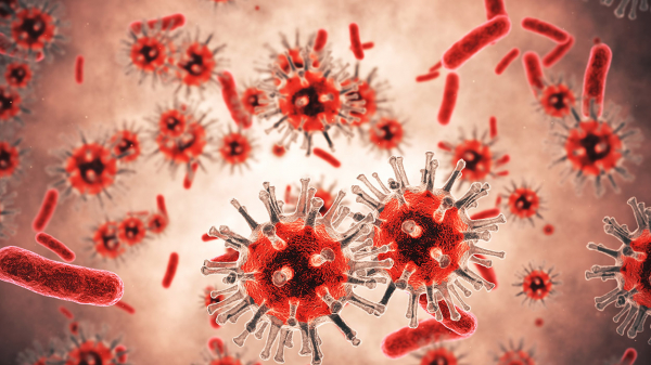Bakteri ve Virüs Arasında Ne Fark Var?