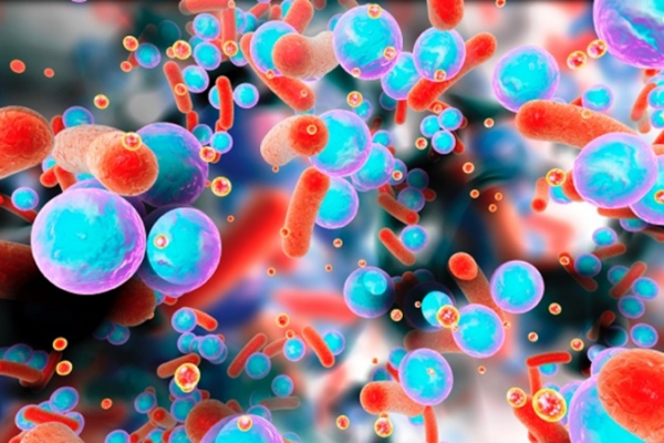 Bakteriler Birbirleriyle Nasıl İletişim Kurar?