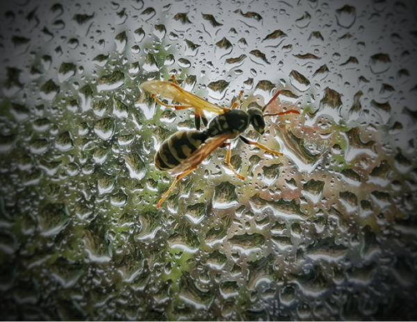 En Beğenilen “Benim Penceremden” Fotoğrafları