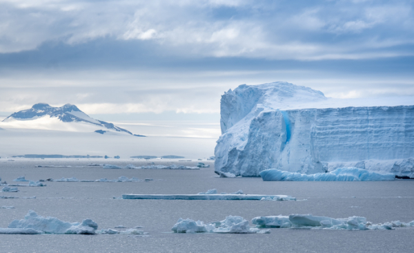 Dünyanın En Büyük Buz Sahanlığı Küresel Isınmadan Nasıl Etkileniyor?