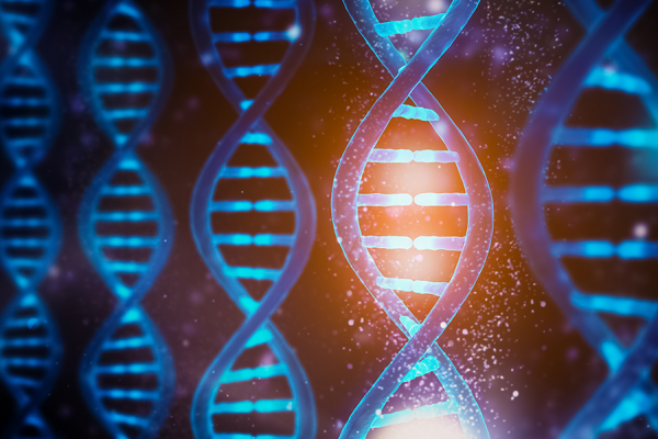 Kaç Farklı DNA Formu Var?