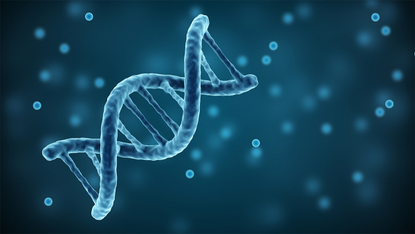 DNA Üretmek İçin Yeni Bir Yöntem