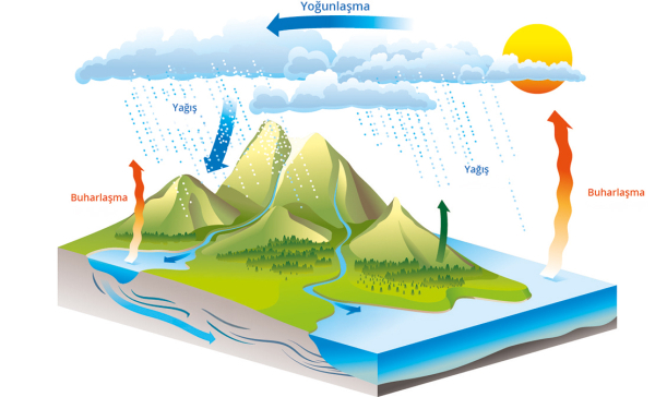 Dünyadaki Su Hiç Bitmez mi?