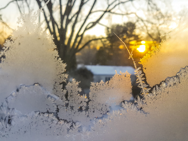 Fotoğraflar Köşesinde Ocak Ayının Konusu “Buz Kristalleri”