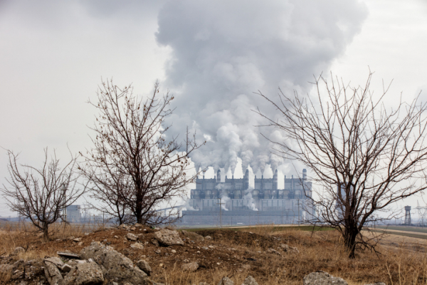 Hava Kirliliğini Emen Betonlar, Şehirlerin Gizli Akciğerleri