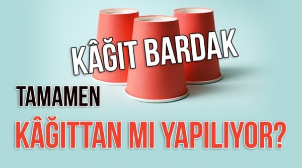 Kâğıt Bardaklar Gerçekten Kâğıttan mı Yapılıyor?