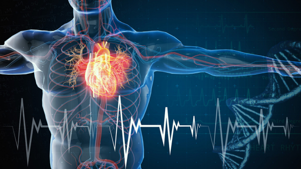 Kalp Hücrelerindeki Elektrik Sinyallerini Ölçen Sensör