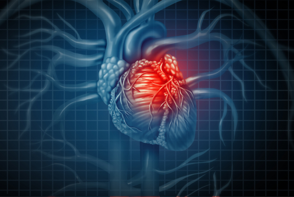 Kalp Krizinden Sonra Kök Hücre Tedavisi