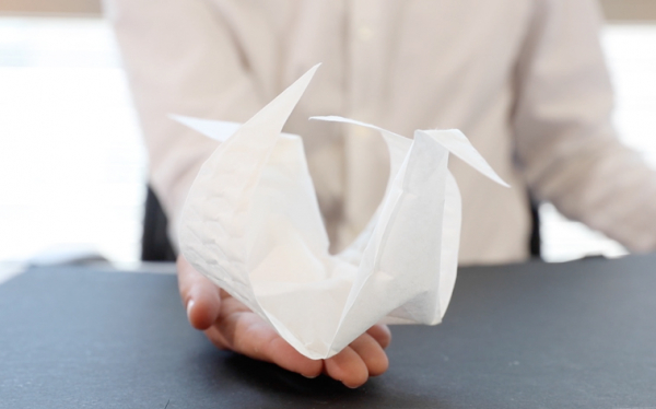 Düz Bir Kâğıt Karmaşık Bir Origami Şekline Kendiliğinden Nasıl Dönüşebilir?