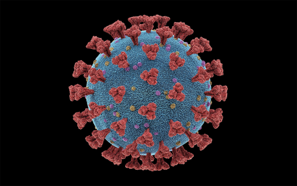 SARS-CoV-2 Benzeri Zararsız Virüs Üretildi