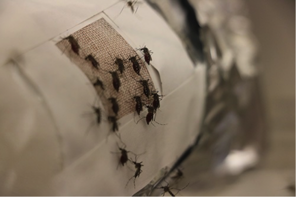 Sivrisineklere Karşı Koruma Sağlayan Kumaş