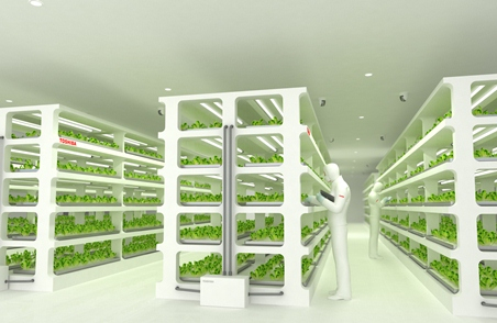 Bitkiler Gelecekte Fabrikalarda mı Yetiştirilecek?