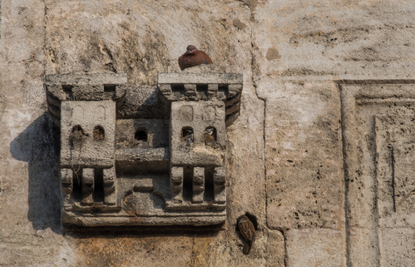 Türk Mimarisinin Minyatür Konakları: Kuş Evleri