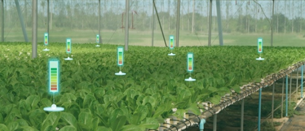 Yeni Nesil Tarım Uygulamaları Nelerdir?