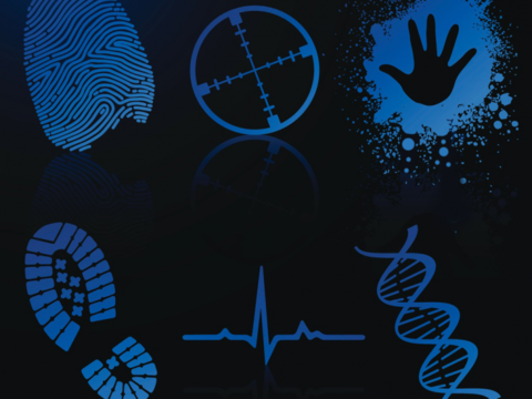 dna parmak izi nasil cikarilir tubitak bilim genc dna parmak izi nasil cikarilir tubitak bilim genc