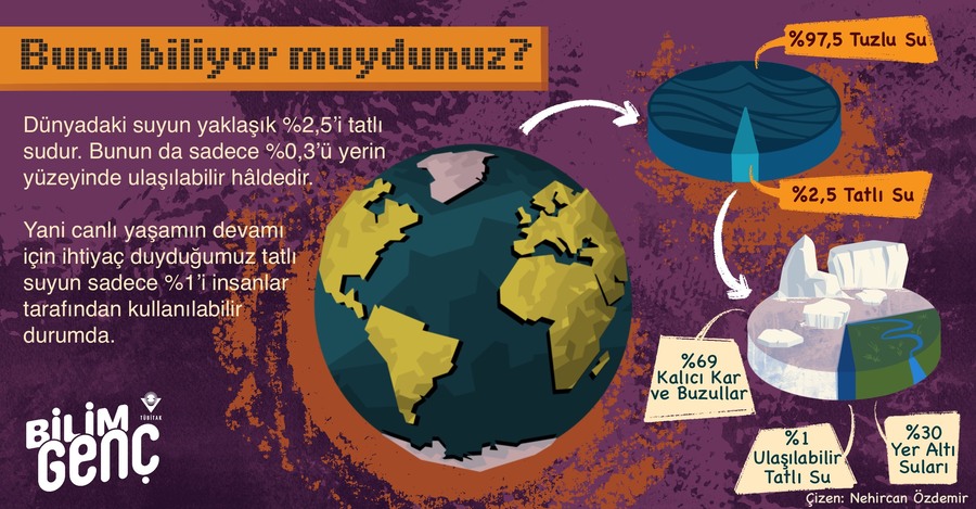 Dünyadaki Tatlı Suyun Sadece %1’i Ulaşılabilir Durumda